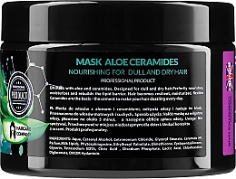 Maska do włosów suchych i matowych - Ronney Professional Aloe Ceramides Mask Nourishing — Zdjęcie N2