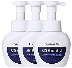 Kup Zestaw - Pyunkang Yul ATO Hand Wash (h/wash/3x250ml)