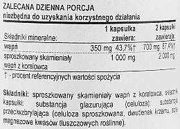 Wapń w kapsułkach, 250 szt. - Now Foods Coral Calcium — Zdjęcie N3