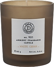 Kup Świeca o zapachu bursztynu - Depot 901 Ambient Fragrance Candle White Cedar 
