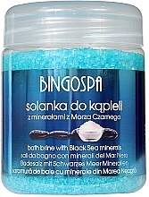 Kup Solanka z minerałami z Morza Martwego do kąpieli spa - BingoSpa Brine With Minerals of The Dead Sea