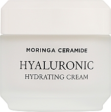 Kup Krem nawilżający do twarzy - Heimish Moringa Ceramide Hylauronic Hydrating Cream 