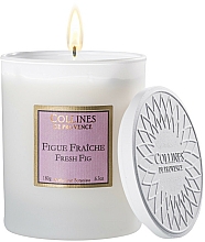 Kup Świeca zapachowa Figa - Collines De Provence Fresh Fig Scented Candle