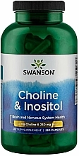 Kup Suplement diety Cholina i Inozytol - Swanson Choline & Inositol