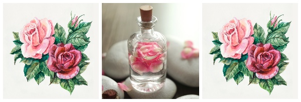 Woda różana – uroda wyciśnięta z kwiatów