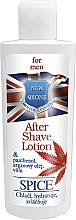 Kup Balsam po goleniu	 - Bione Cosmetics Bio For Men Spice After Shave Lotion