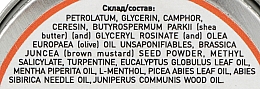 Ochronny balsam z ekstraktem z brzozy - Narodniy tselitel — Zdjęcie N5