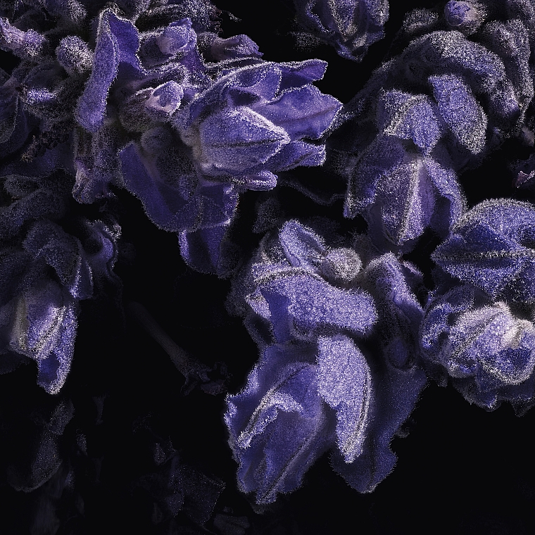 Yves Saint Laurent Libre Le Parfum - Woda perfumowana — Zdjęcie N8