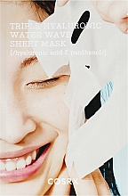 Kup Intensywnie nawilżająca maska w płachcie z kwasem hialuronowym i pantenolem - Cosrx Hydrium Triple Hyaluronic Water Wave Sheet Mask