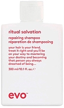 Szampon naprawczy do włosów suchych, farbowanych i łamliwych - Evo Ritual Salvation Repairing Shampoo — Zdjęcie N1