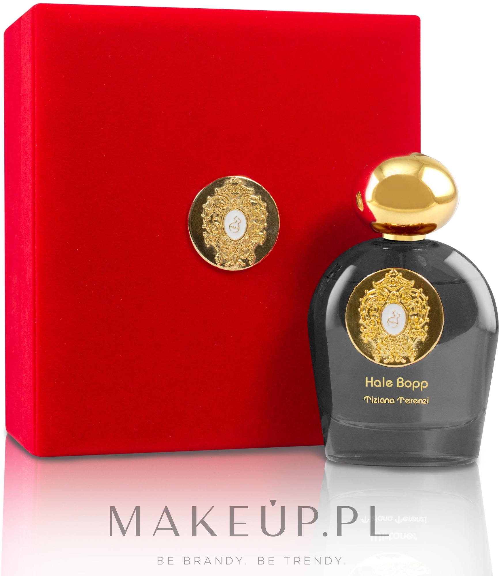 Tiziana Terenzi Comete Collection Hale Bopp - Perfumy — Zdjęcie 100 ml