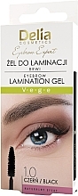 Żel do laminowania brwi - Delia Eyebrow Expert Eyebrow Laminztion Gel — Zdjęcie N1
