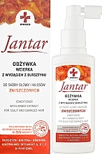 Odżywka-wcierka z wyciągiem z bursztynu do skóry głowy i włosów zniszczonych - Farmona Jantar Medica Conditioner with Amber Extract — Zdjęcie N2