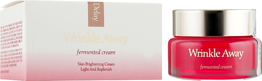 Przeciwzmarszczkowy krem rozświetlający do twarzy - The Skin House Wrinkle Away Fermented Cream — Zdjęcie N1