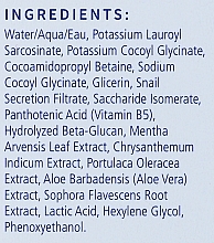 Zestaw, 5 produktów - Dermomedica — Zdjęcie N1