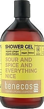 Żel pod prysznic - Benecos Shower Gel Organic Ingwer & Zitrone — Zdjęcie N1