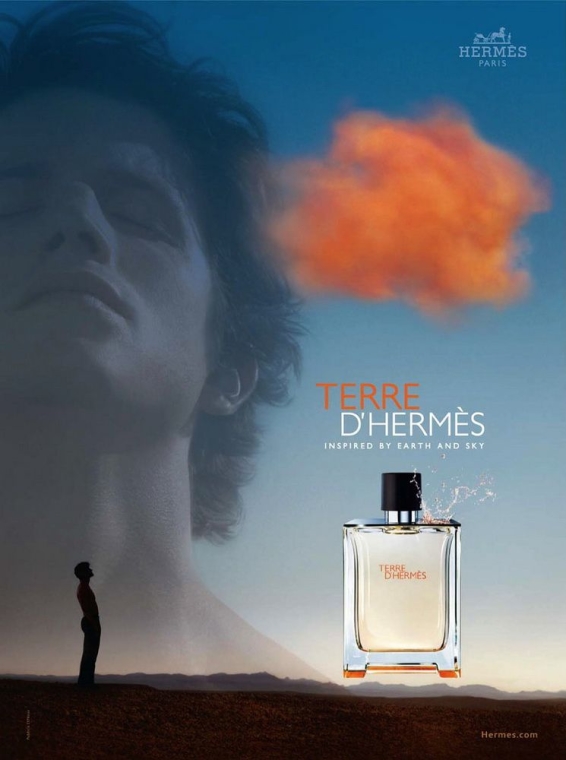 Hermes Terre d'Hermes - Dezodorant w sztyfcie — Zdjęcie N3