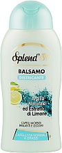 Balsam do włosów Glinka i cytryna - Splend'Or Hair Balm — Zdjęcie N1