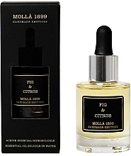 Kup Olejek eteryczny - Cereria Molla Fig & Citrus Essential Oil Soluble In Water