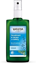 Kup Dezodorant do ciała Szałwia - Weleda Sage Deodorant