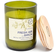 Świeca zapachowa Świeże powietrze i brzoza - Paddywax Eco Green Recycled Glass Candle Fresh Air + Birch — Zdjęcie N1