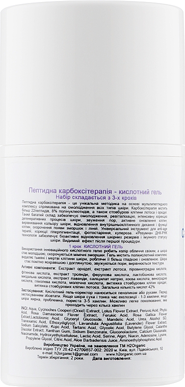 Zestaw Karboksyterapia peptydowa - H2Organic Carboxy Therapy CO2 Peptide (gel/50ml + gel/50ml + mask/50ml) — Zdjęcie N3