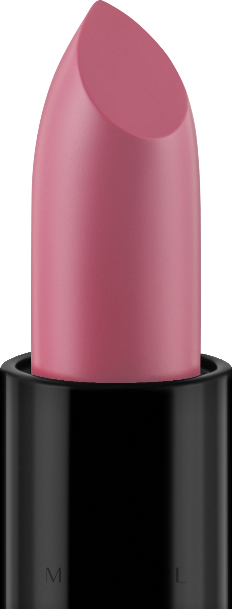 Pomadka do ust - KSKY Intense Classic Lipstick — Zdjęcie KS 202 - Rose Natural