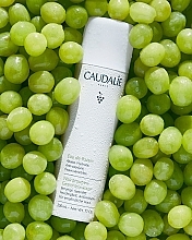 Nawilżająca woda winogronowa - Caudalie Cleansing & Toning Grape Water — Zdjęcie N2
