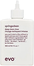 Głęboko oczyszczający krem do włosów kręconych - Evo Springsclean Deep Clean Rinse — Zdjęcie N1