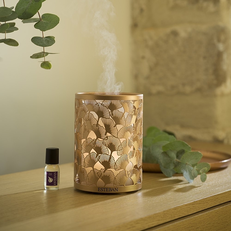 Dyfuzor - Esteban Perfume Mist Diffuser Light &Copper Edition — Zdjęcie N2