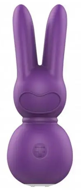 Wibrator w kształcie królika, fioletowy - Femme Funn Stubby 2 Massager  — Zdjęcie N1