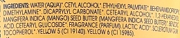 Odżywka do włosów z masłem mango - Klorane Conditioner Balm Mango Butter  — Zdjęcie N2