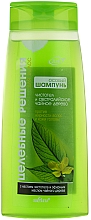 Kup PRZECENA! Specjalny szampon do włosów przetłuszczających się Glistnik i australijskie drzewo herbaciane - Bielita Celandine And Australian Tea Tree Hair Shampoo *