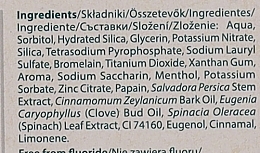 Ziołowa pasta do zębów redukująca płytkę nazębną - Himalaya Gum Expert Anti-Plaque Herbal Toothpaste — Zdjęcie N3