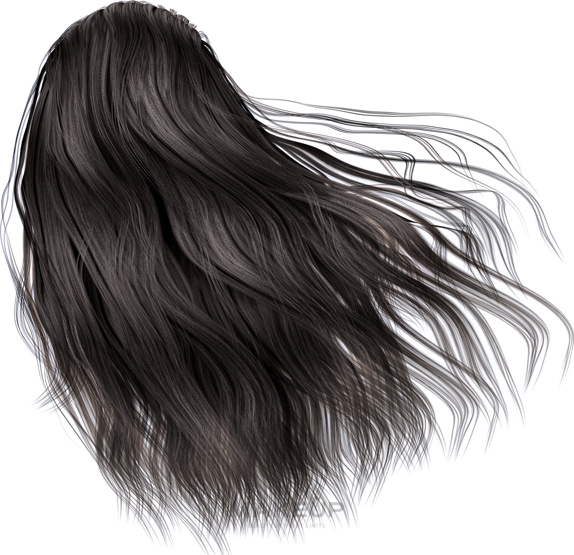 Farba do włosów - Lazartigue La Couleur Absolue Permanent Haircolor — Zdjęcie 1.00 - Intense Black