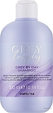 Szampon tonizujący do włosów naturalnych, siwych i blond - Inebrya Grey By Day Shampoo — Zdjęcie N1