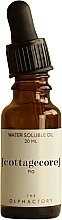 Olej rozpuszczalny w wodzie - Ambientair The Olphactory Cottagecore Fig Water Soluble Oil — Zdjęcie N1