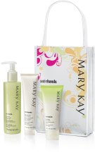 Kup Zestaw kosmetyków do rąk Melon miodowy - Mary Kay Satin Hands (cr/60g + gel/scr/220g + h/cr/85g)