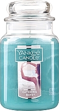 Kup Świeca zapachowa - Yankee Candle Catching Rays