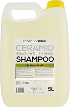 Kup Wygładzający szampon z keratyną - Profis Ceramid