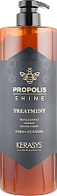 Maska do włosów Life Force z propolisem - KeraSys Propolis Energy Plus Treatment — Zdjęcie N1