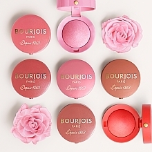 Róż do policzków - Bourjois Little Round Pot Blusher — Zdjęcie N11