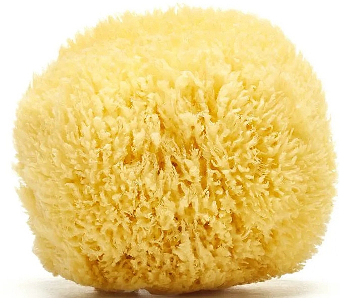 Naturalna gąbka z Morza Karaibskiego 11,5 cm - Hydrea London Grass Sea Sponge Caribbean Origin — Zdjęcie N2