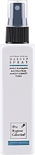 Kup Antybakteryjny spray do dezynfekcji makijażu - The Pro Hygiene Collection Antibacterial Make-up Spray 