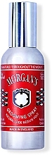 Spray średnio utrwalający - Morgan`s Grooming Spray — Zdjęcie N1