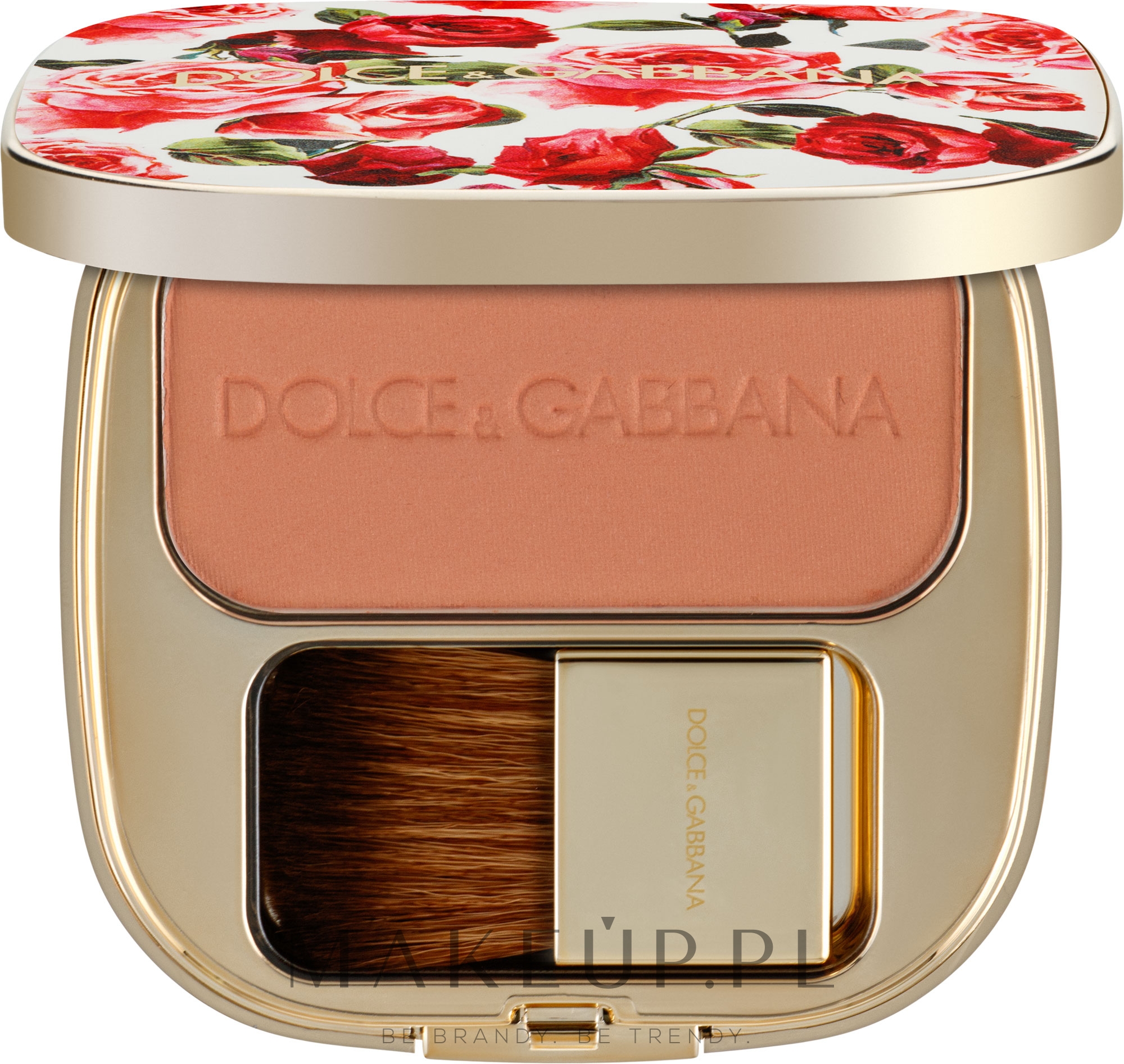 Róż do policzków - Dolce & Gabbana Blush Of Roses Luminous Cheek Colour — Zdjęcie 500 - Apricot