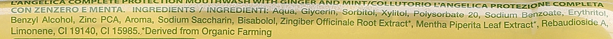 Płyn do płukania ust Imbir i mięta - L'Angelica Herbal Mouthwash Complete Protection Ginger & Mint — Zdjęcie N3