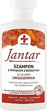 Szampon z wyciągiem z bursztynu do włosów zniszczonych - Farmona Jantar Medica Shampoo With Amber Extract — Zdjęcie N1