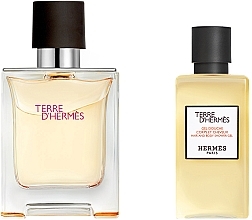 Hermes Terre d’Hermes - Zestaw (edt/50ml + sh/gel/40ml) — Zdjęcie N2