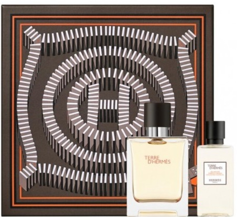 Hermes Terre d'Hermes - Zestaw (edt 50 ml + sh/gel 40 ml) — Zdjęcie N1